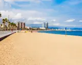 Słoneczna barcelona plaża z palmami i nowoczesnymi budynkami w tle.