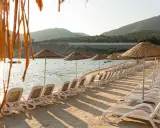 Rzędy leżaków i parasoli na plaży w Bodrum, słońce przebija się przez liście palmy.